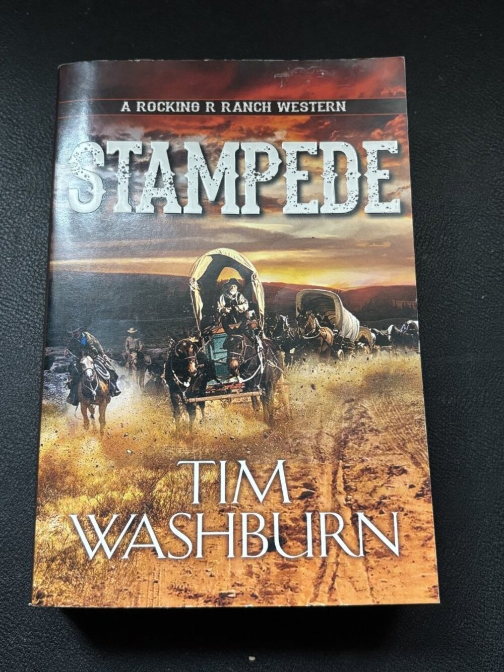 Stampede by Tim Washburn